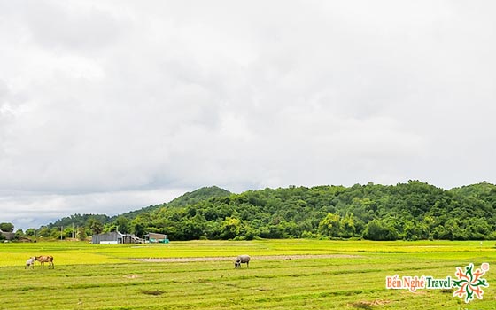 canh-dep-ha-tien