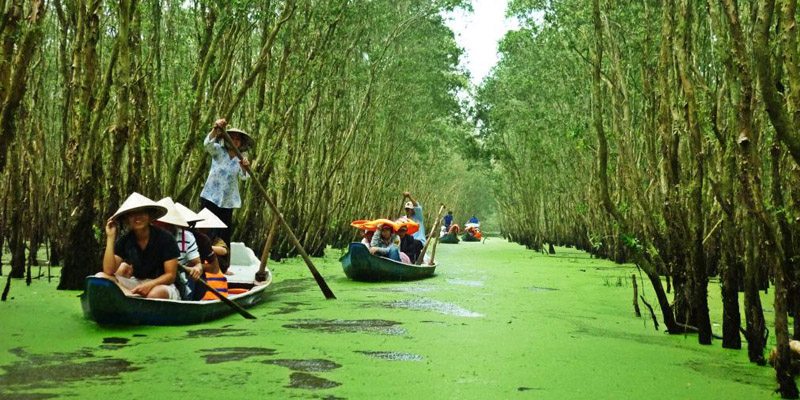 thesingcafe-mekong-rung-tram-tra-su