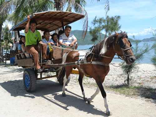 Du ngoạn đảo Khỉ bằng xe ngựa