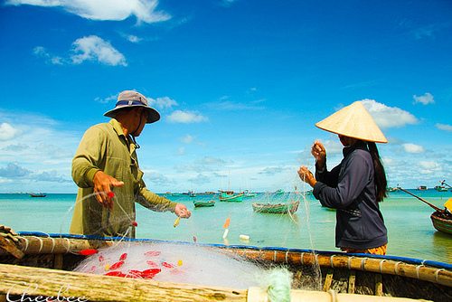 những ngư dân nơi miền biển xinh đẹp