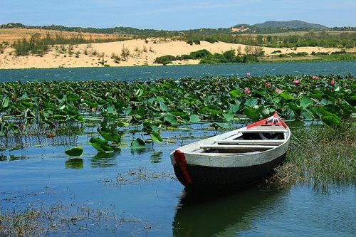 Êm ả hơn với thú vui chèo thuyền ra dòng nước