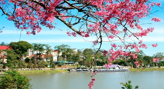 Tour Dalat (10)