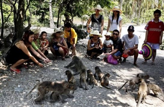 Đảo khỉ, một trong danh sách các điểm du lịch Nha Trang độc đáo