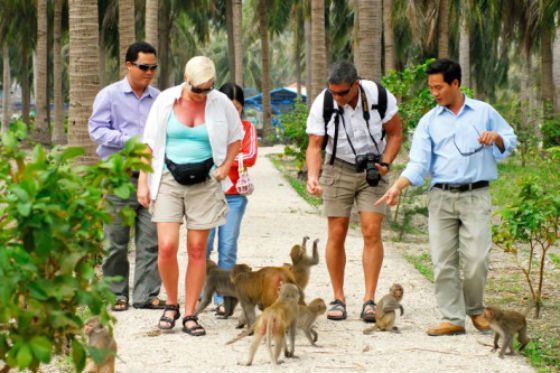 Đảo Khỉ Nha Trang với những chú khỉ thân thiện