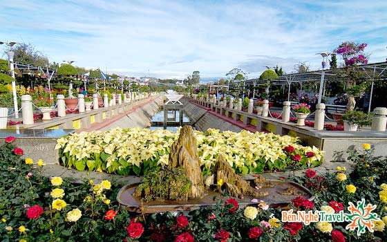 Vườn hoa thành phố, một trong các điểm du lịch ở Đà Lạt thu hút du khách
