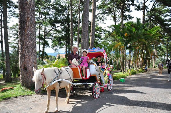 phuong tien di lai khi du lich o da lat